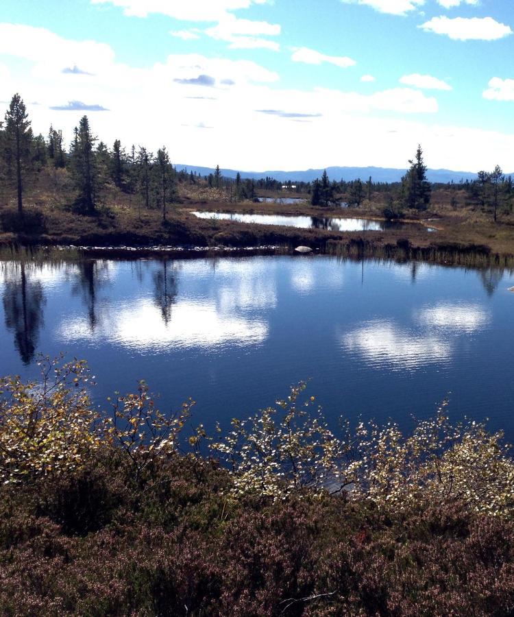 Blefjell Lodge Lampeland Eksteriør billede